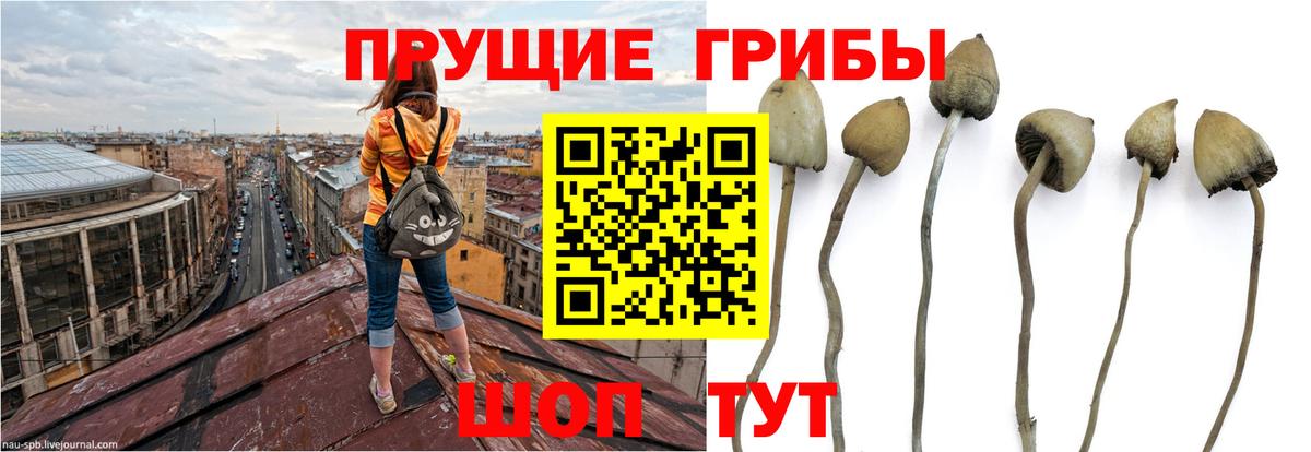 Галлюциногенные грибы MAGIC MUSHROOMS Феодосия